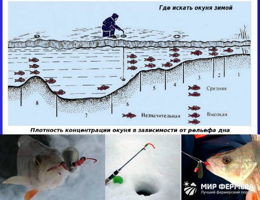 Рыбалка зимой с поплавком и кивком - ловля, тактика и техника