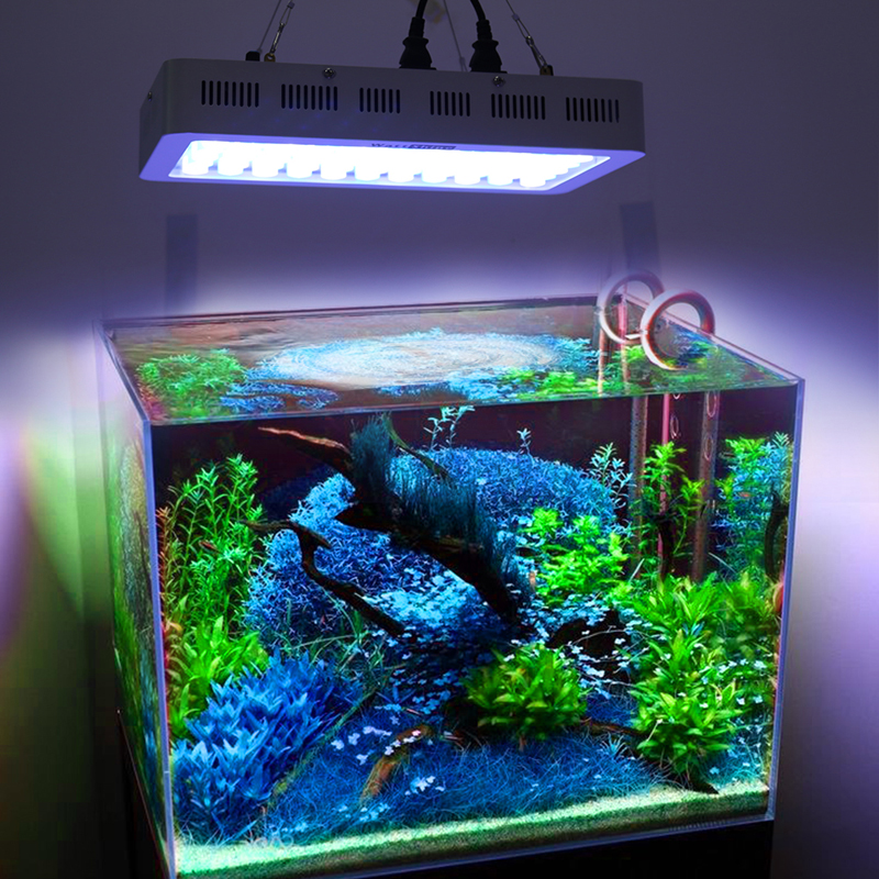 Лампы для аквариума - обзор лучших светильников по характеристикам, спектру, производителям и цене