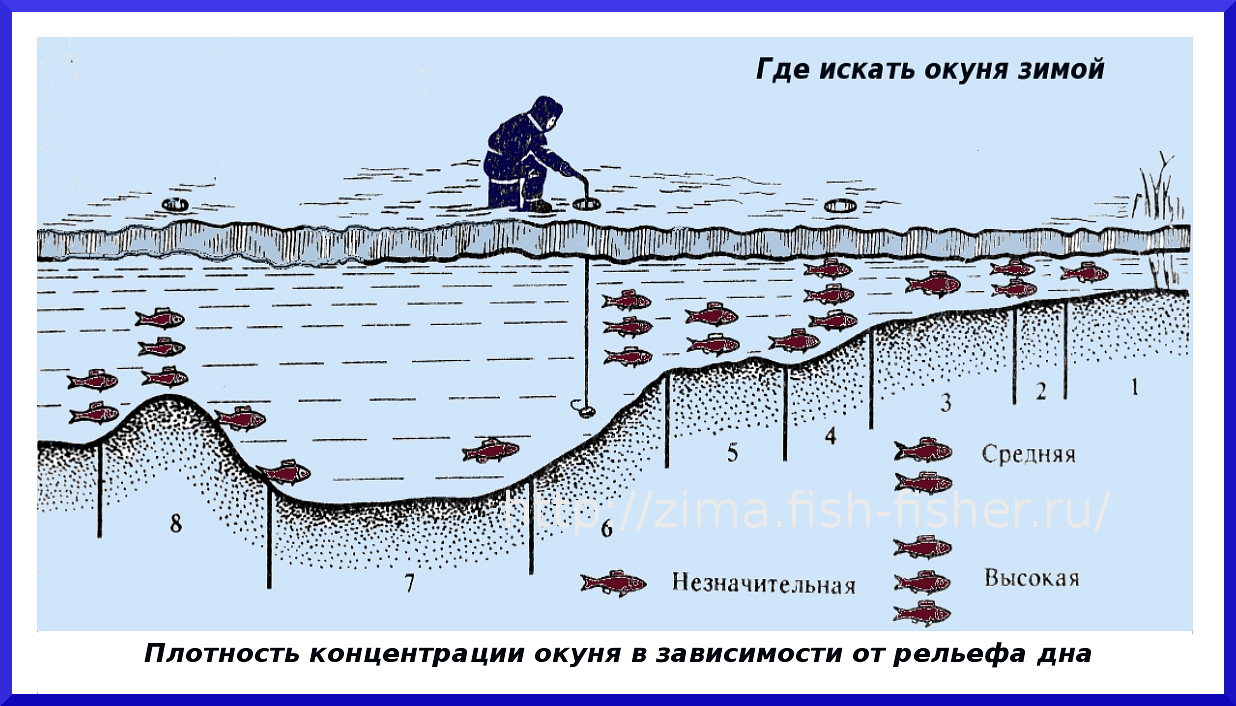 Рыбалка в декабре: какая рыба клюёт, ловля со льда и по открытой воде