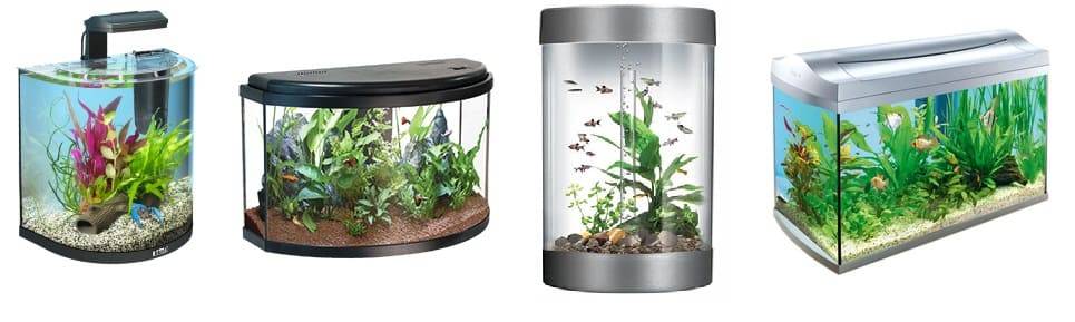 Как выбрать аквариум - лучший фильтр, грунт, лампу и компрессор для рыбок | beauty-line14a.ru