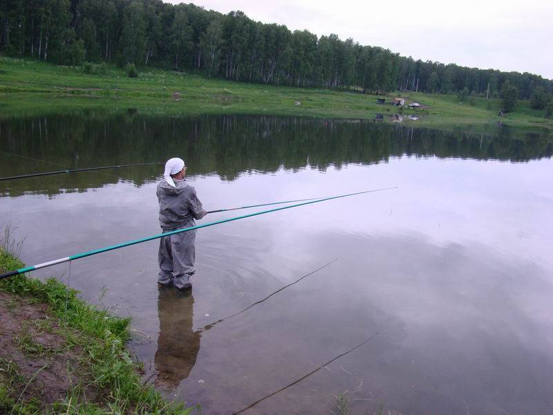 Новгород - календарь рыболова. рыбалка в новгороде, график клёва рыбы.