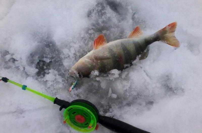 Ловля рыбы на безмотылку зимой - суперулов - интернет-портал о рыбалке