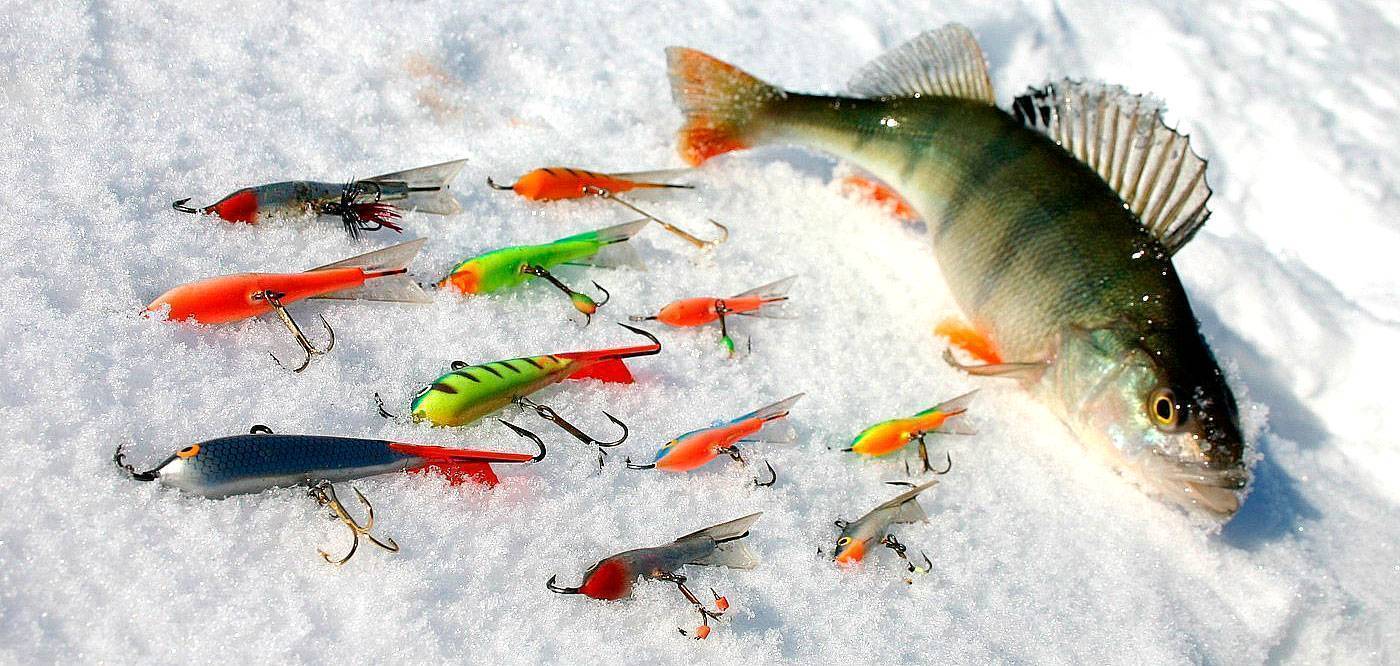 Кивок для зимней рыбалки (безмотылка, блесна, балансир). советы профессионалов