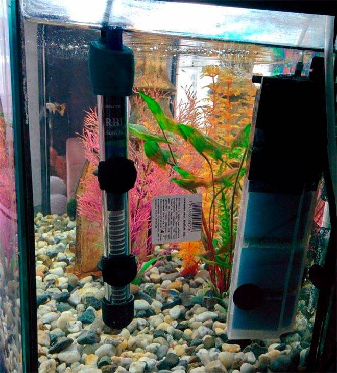 Обогреватель для аквариума с терморегулятором, аквариумный водонагреватель, подогрев своими руками