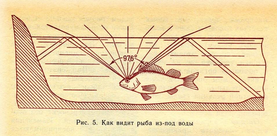 Шесть вариантов подбора блесен - zaulov.by - ну, за рыбалку!