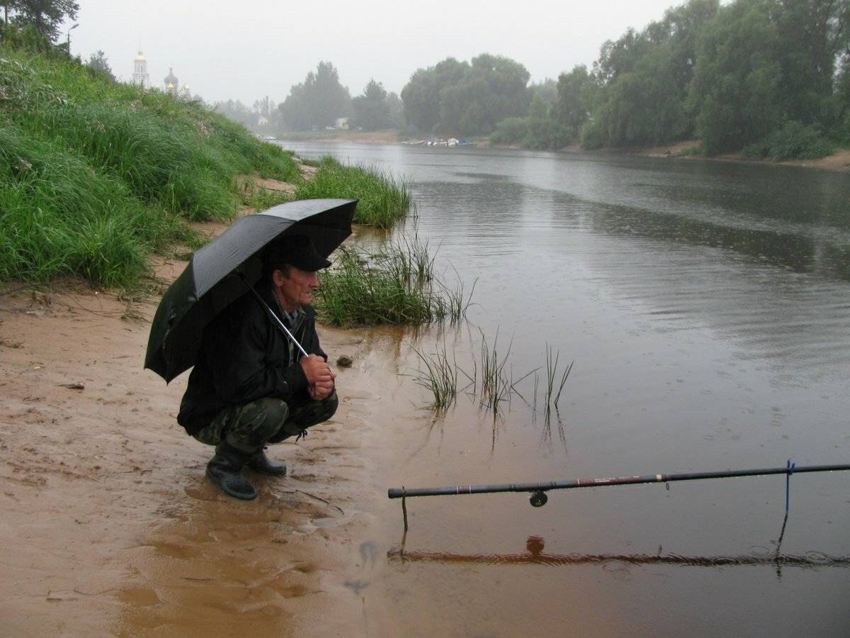 Клюёт ли карась в дождь (перед и после): как ловится рыба в пасмурную погоду