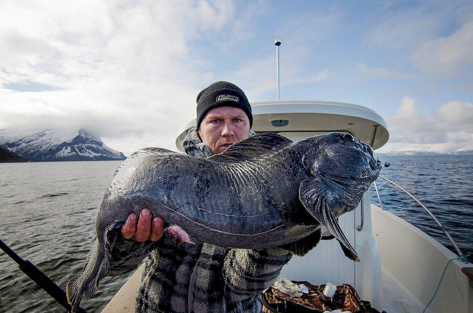 На морской рыбалке в норвегии можно поймать палтуса весом 165 кг.