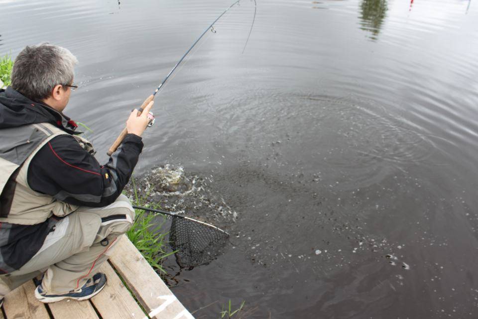Платная рыбалка на новой риге (рузский район) фишка-петряиха — 700 руб.