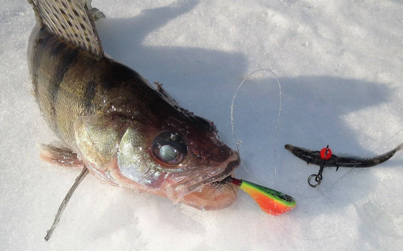 Мормышки для зимней рыбалки: техника ловли, классификация и топ самых уловистых