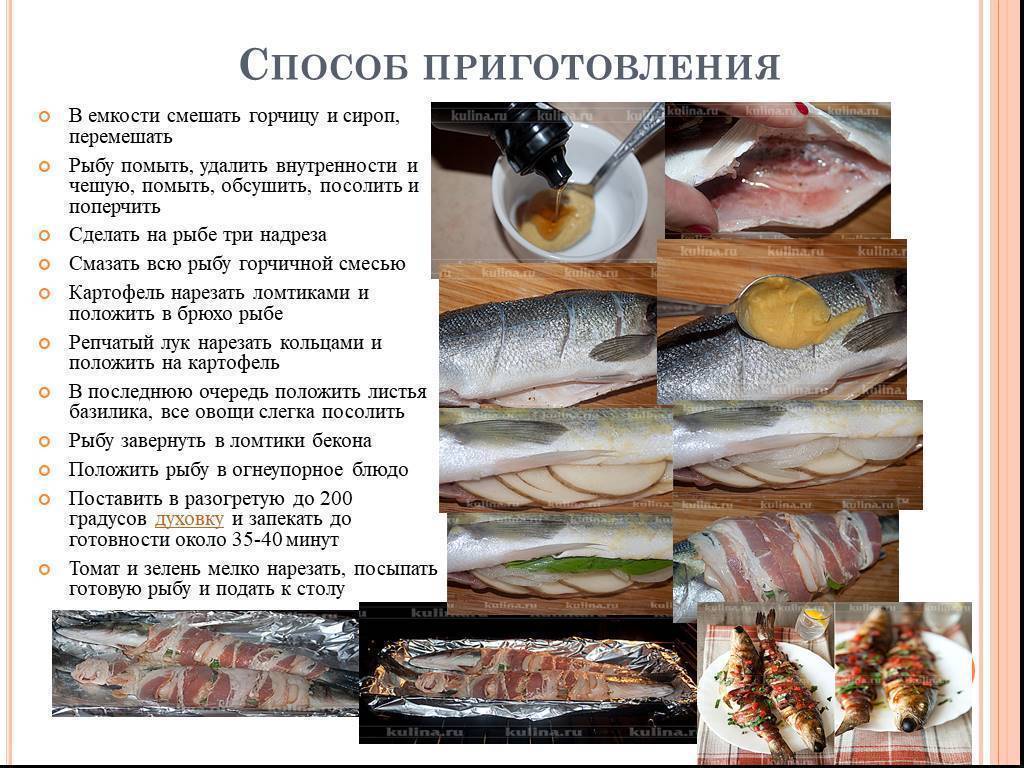 Виды белой рыбы: какие виды к ним относятся и как называются, чем полезны