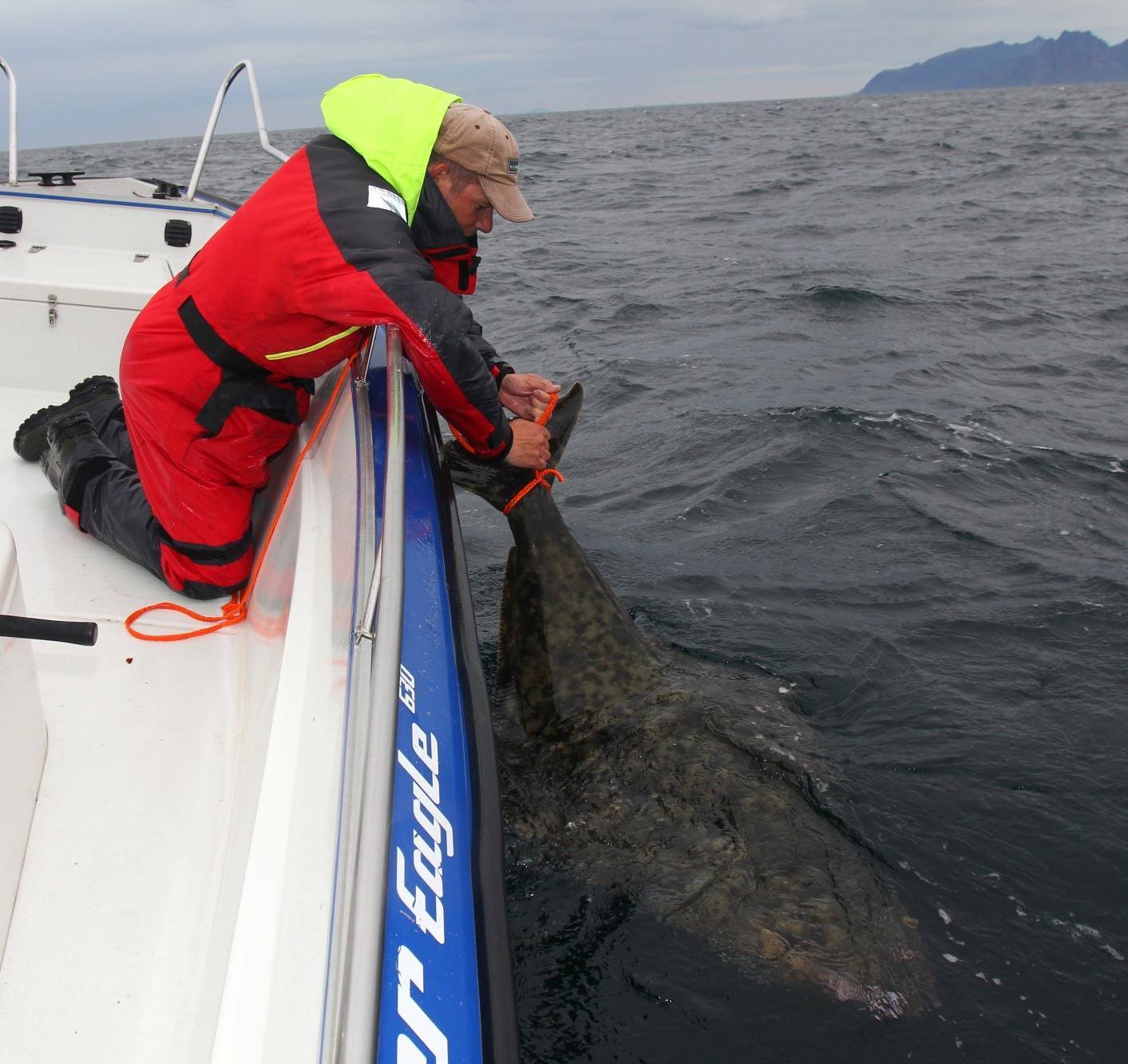 На рыбалке - ловля палтуса и окуня в северной норвегии » тихий омут