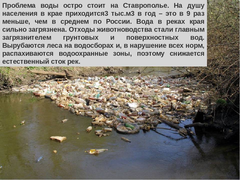 Экология и климат города новороссийск - состояние промышленности, лесных и водных ресурсов.