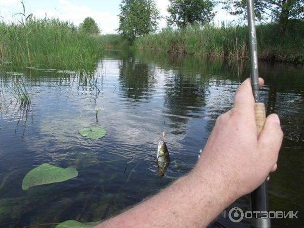 Рыбалка на Битюге, река Битюг, рыбы и способы ловли, Река битюг воронежской области рыбалка.