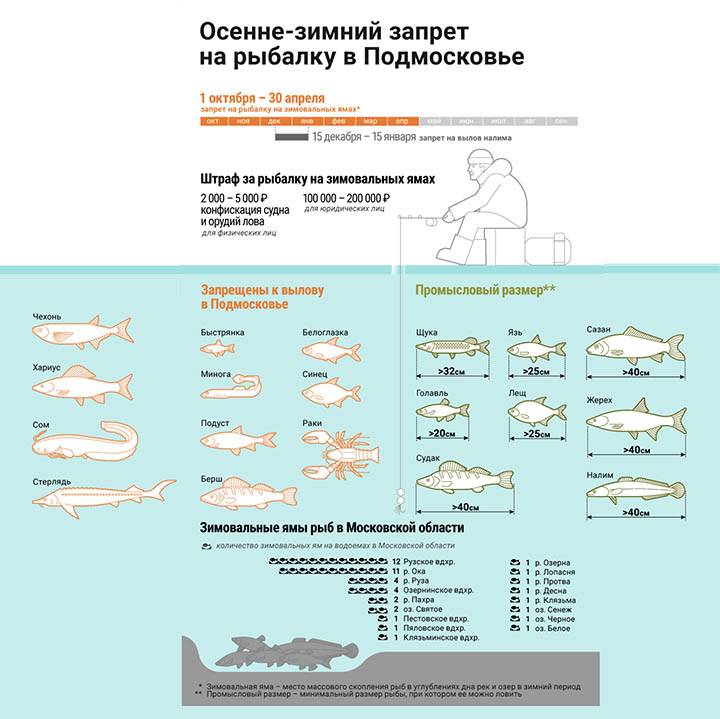 Правила рыбалки в иркутской области в 2022 г.