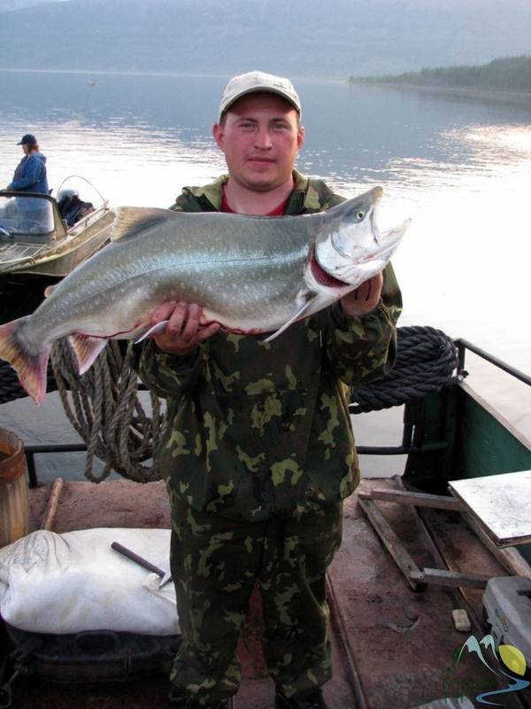Рыболовно-познавательный тур "большая летняя рыбалка на озере лама"