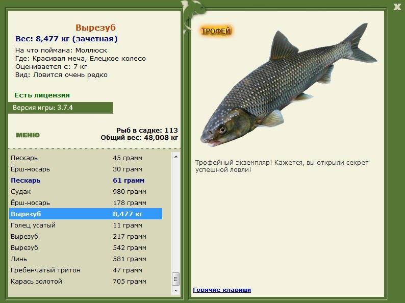 Рогозуб: описание двоякодышащих рыб и особенности их жизни