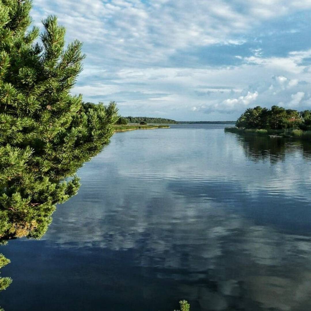 Озеро липовское. озеро липовское (ленинградская область, кингисеппский район): отзывы и фото