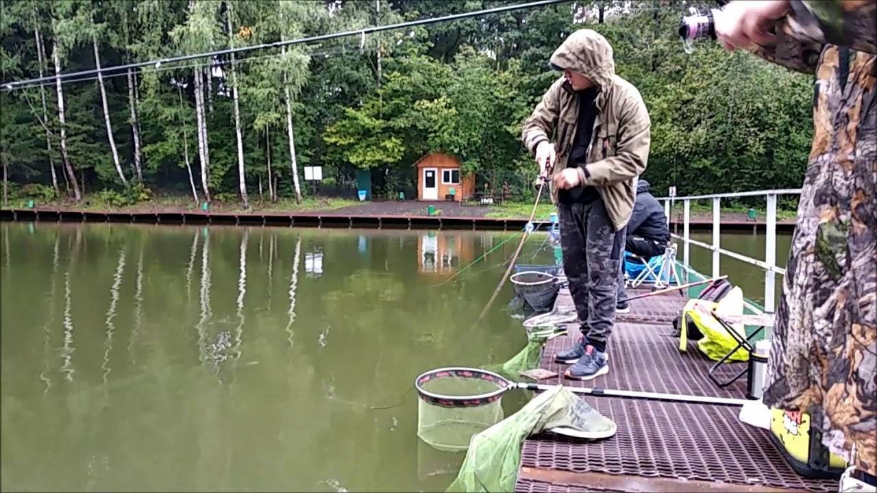 Рыбное хозяйство "клёвое место" в посёлке лосиный остров - отзывы и видеообзор