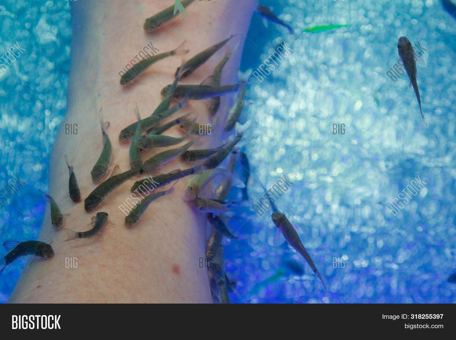 Что нужно знать о необычной процедуре массажа и очищения кожи Fish пилингом