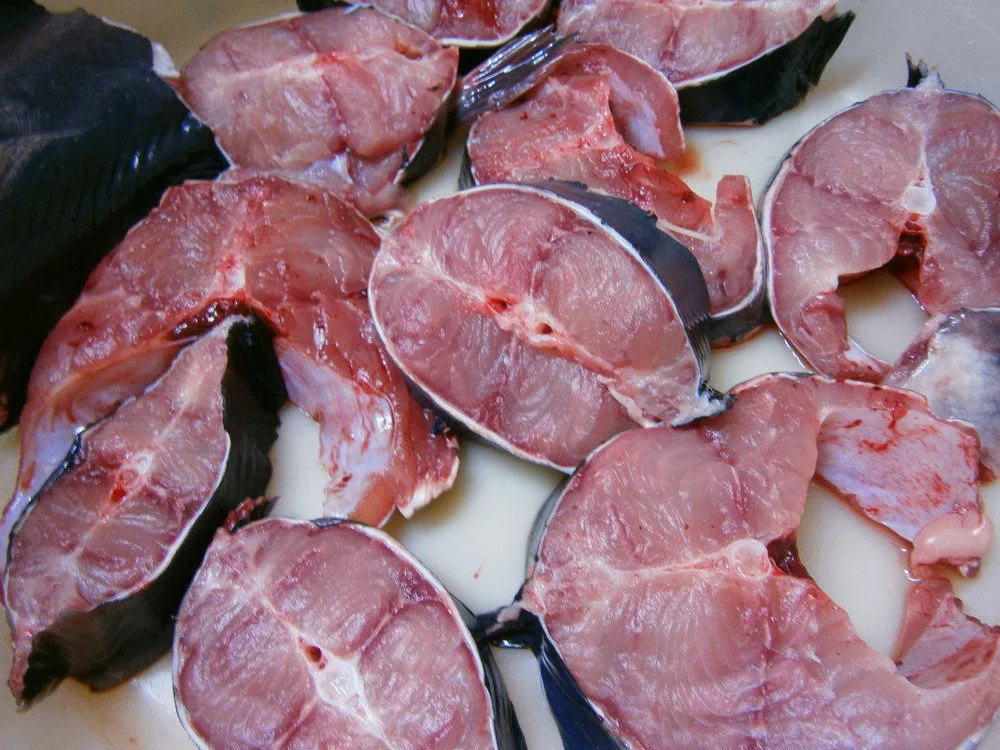 И рыба, и мясо: секрет популярности африканского клариевого сома