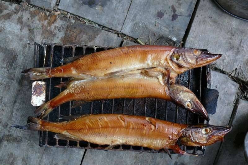 Рыбалка на спиннинг | спиннинг клаб - советы для начинающих рыбаков
копчение щуки – секреты и советы