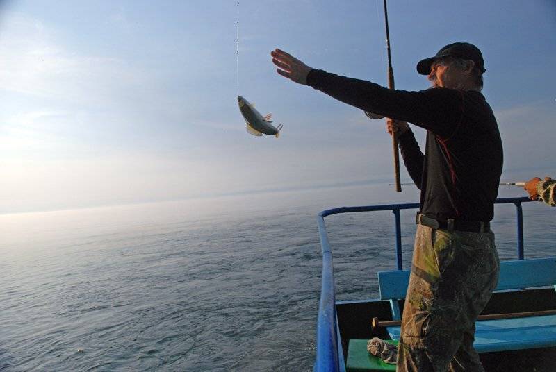 Рыбалка в витязево (на лимане с берега): лучшие места для ловли, какая рыба водится