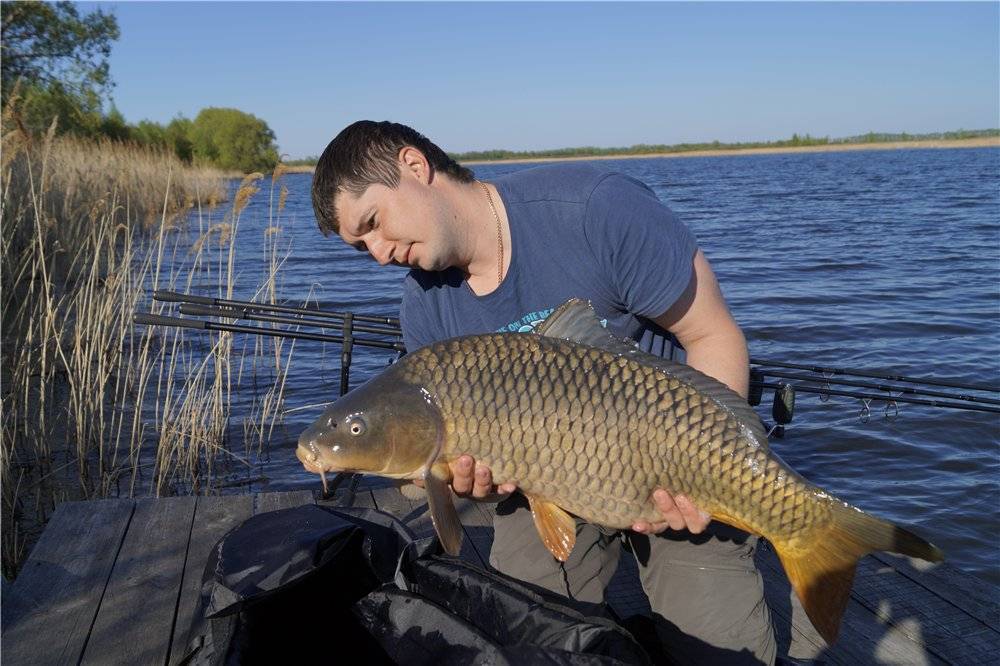 Рыбалка в белгородской области: лучшие места на карте топ-5