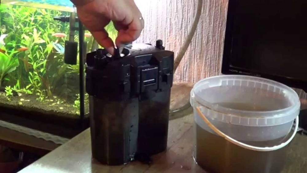 Как установить фильтр в аквариум правильно: фото, видео
как установить фильтр в аквариум правильно: фото, видео