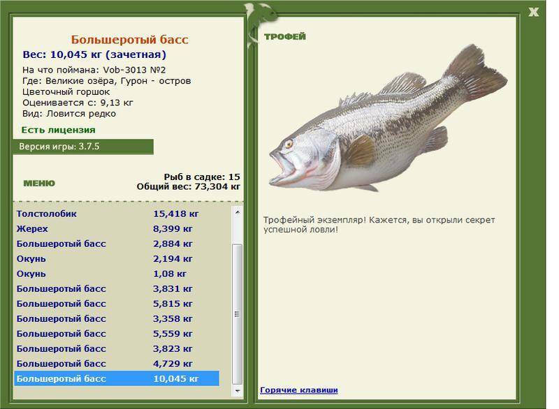 Рыба «Басс большеротый» фото и описание