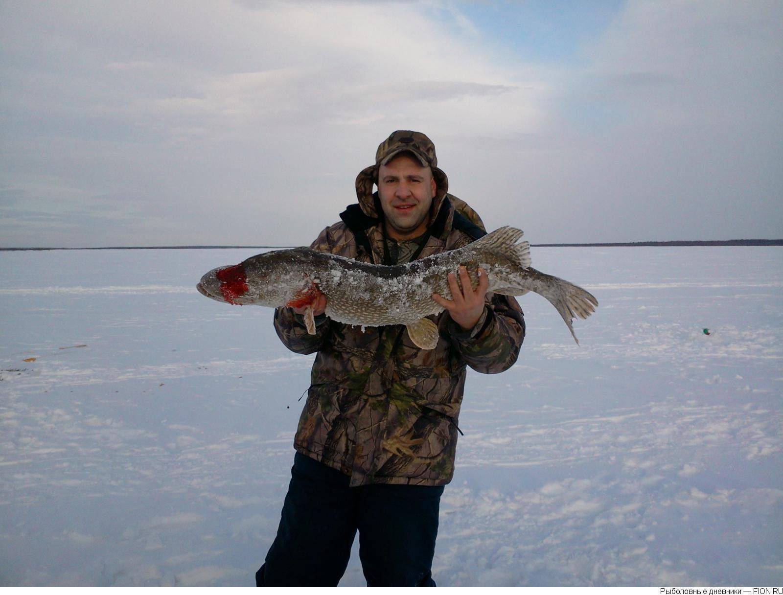 Рыбалка в Ненецком автономном округе: лучшие места на карте ТОП-10