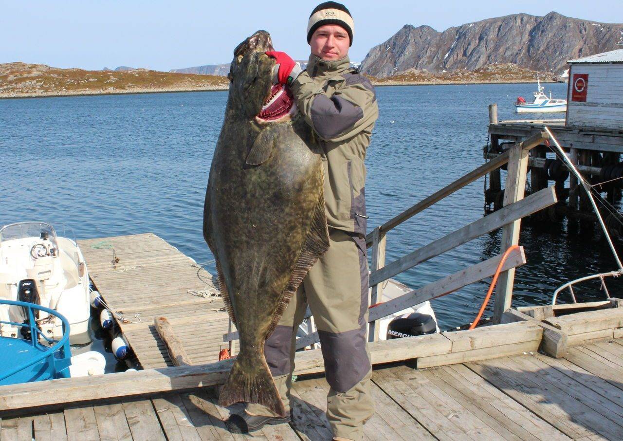 На рыбалку в норвегию. место, где сбываются мечты рыболовов.