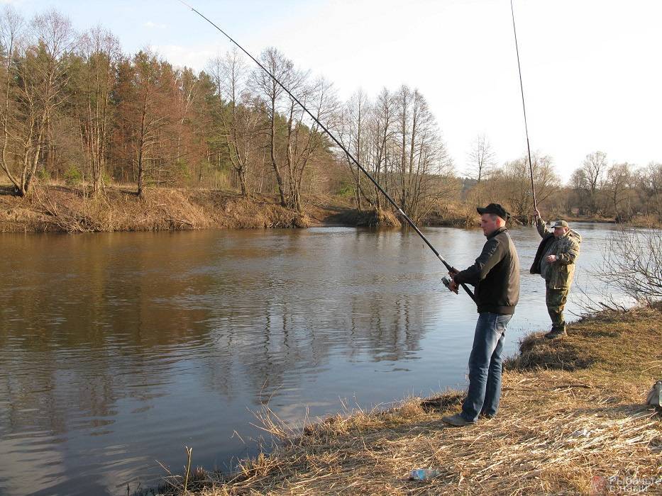 ᐉ рыбалка в апреле: какую рыбу ловить в апреле - ✅ ribalka-snasti.ru