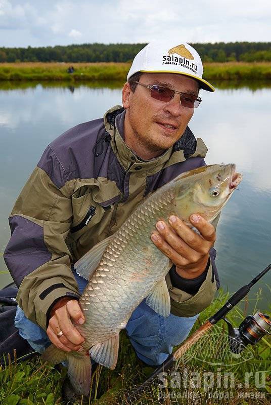 Рыбалка в березняках егорьевского района: особенности, какая рыба водится