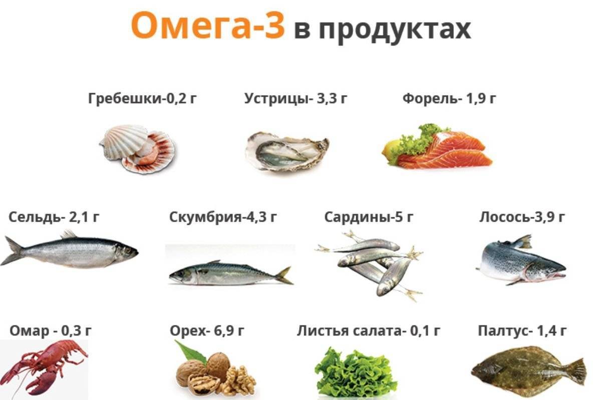 Речная рыба сазан: полезные свойства и состав