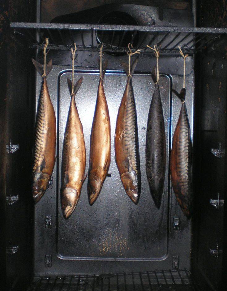 Как делают рыбу холодного копчения: подготовка рыбы, технология копчения