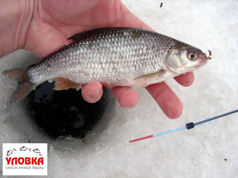 Какими способами привязать зимние мормышки к леске - о рыбе и рыбалке