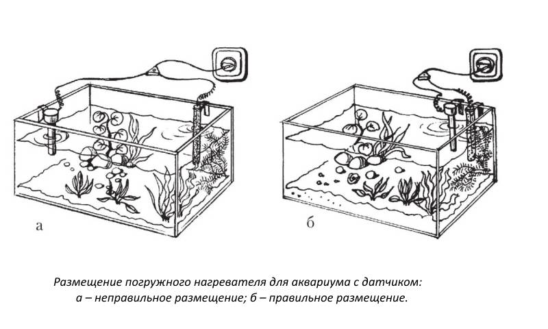 Обогреватель для аквариума: нагреватели с терморегулятором, как выбрать, сделать своими руками