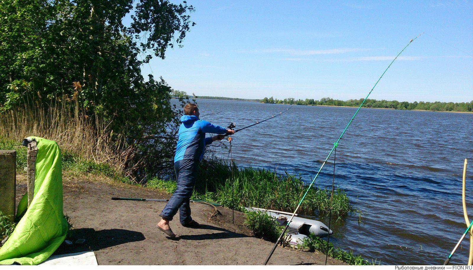 Озеро московское рыбалка. Озеро Муромское Шатура рыбалка. Озеро святое Шатура рыбалка. Белое озеро Шатура рыбалка. Озеро Муромское Шатурский район.
