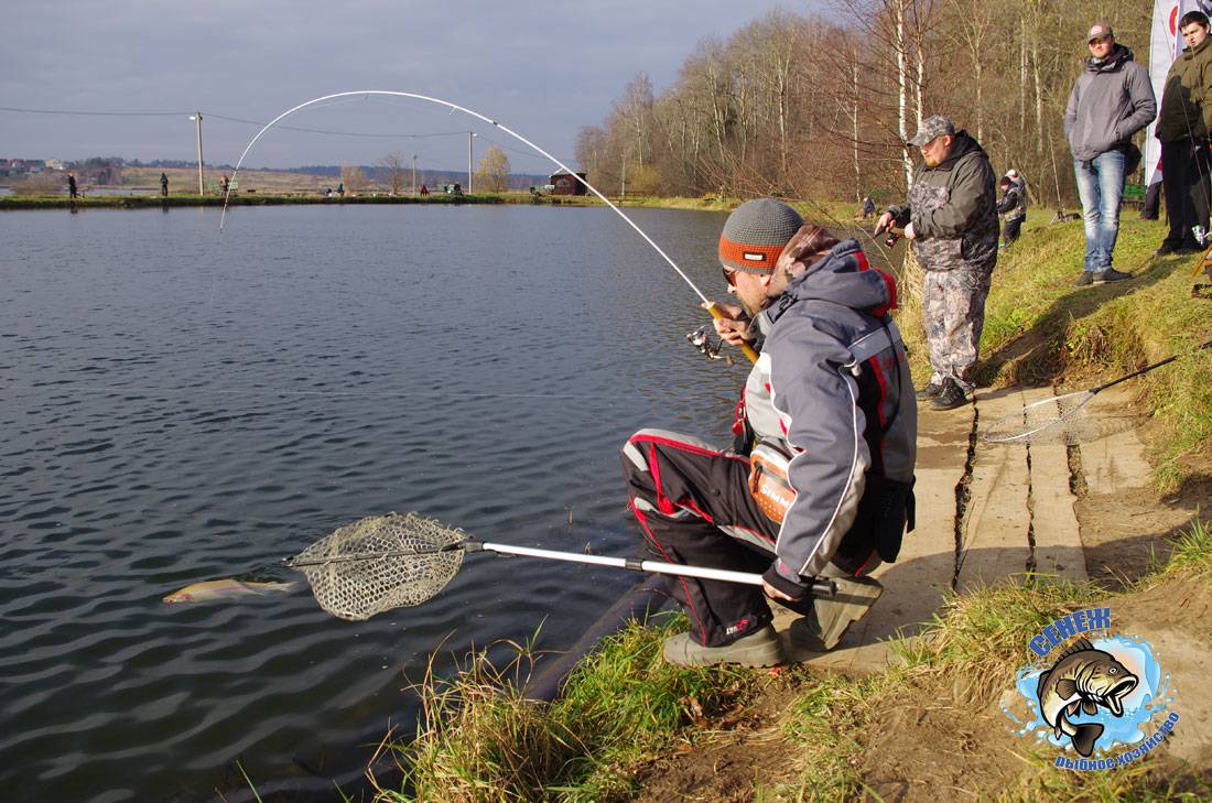 Места для рыбалки в санкт-петербурге – платная и бесплатная рыбалка!
