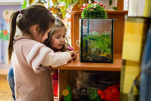 Рассказ про аквариумных рыбок. беседа с детьми старшего дошкольного возраста об аквариумных рыбках — гуппи