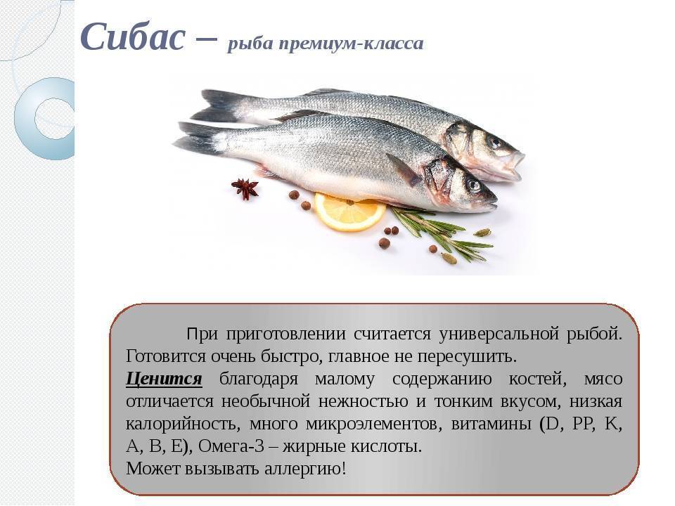 Рыба хока: среда обитания, полезные свойства, рецепты