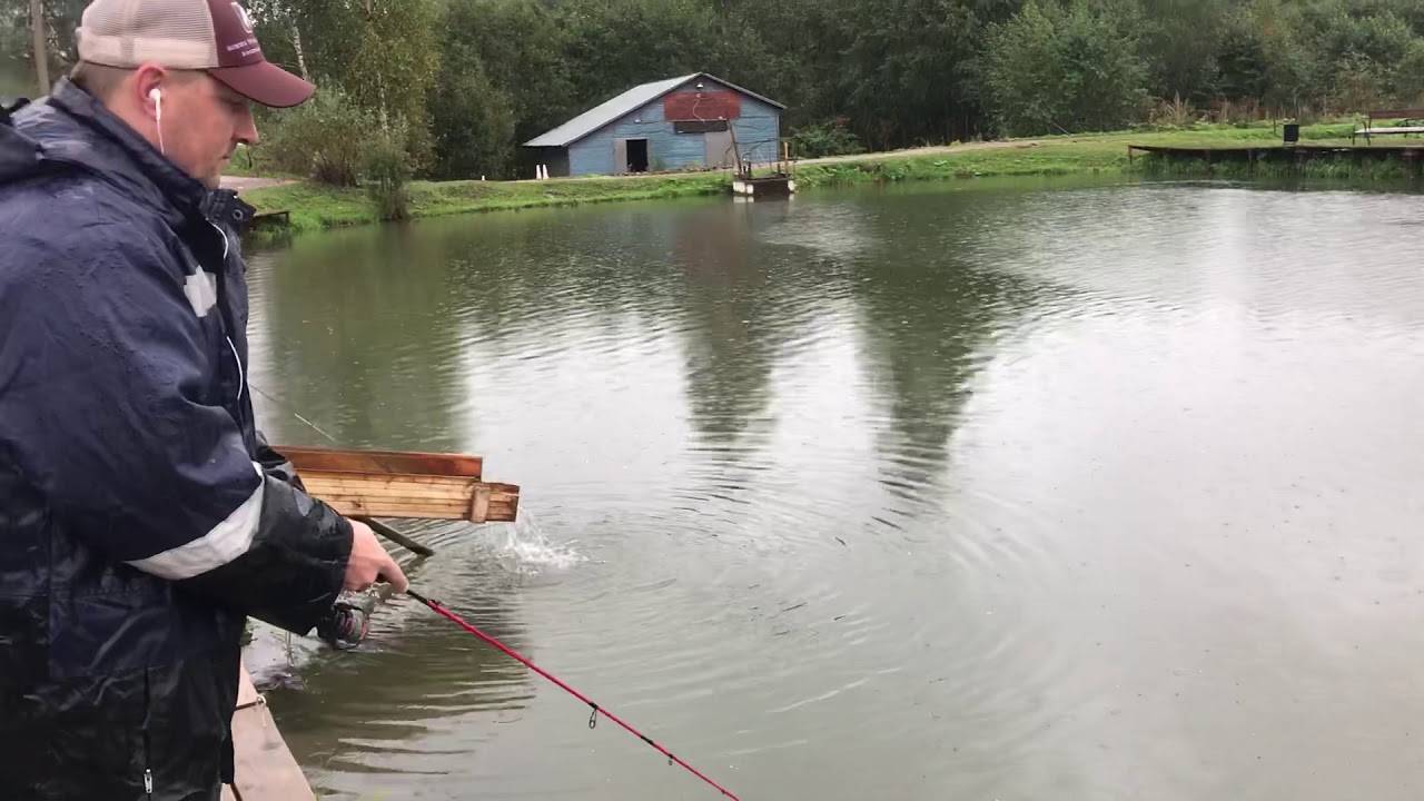 Рыбалка в белавино "три пескаря", солнечногорский район