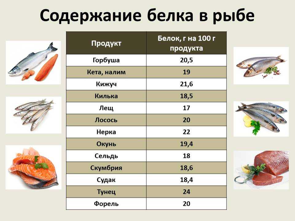 Нерка: что за рыба, где водится, состав, калорийность, описание, полезные свойства