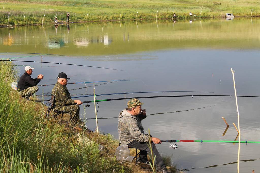Рыбалка в республике дагестан: лучшие места на карте