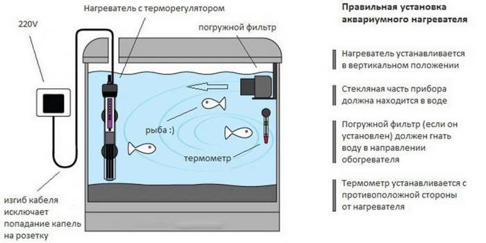 Секреты по поддержанию температуры с помощью аквариумных нагревателей