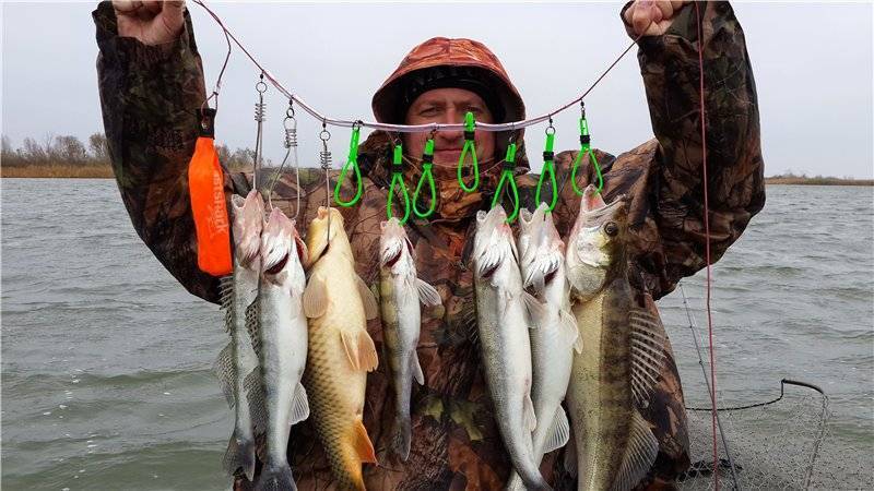 12 лучших рыболовных мест ростовской области