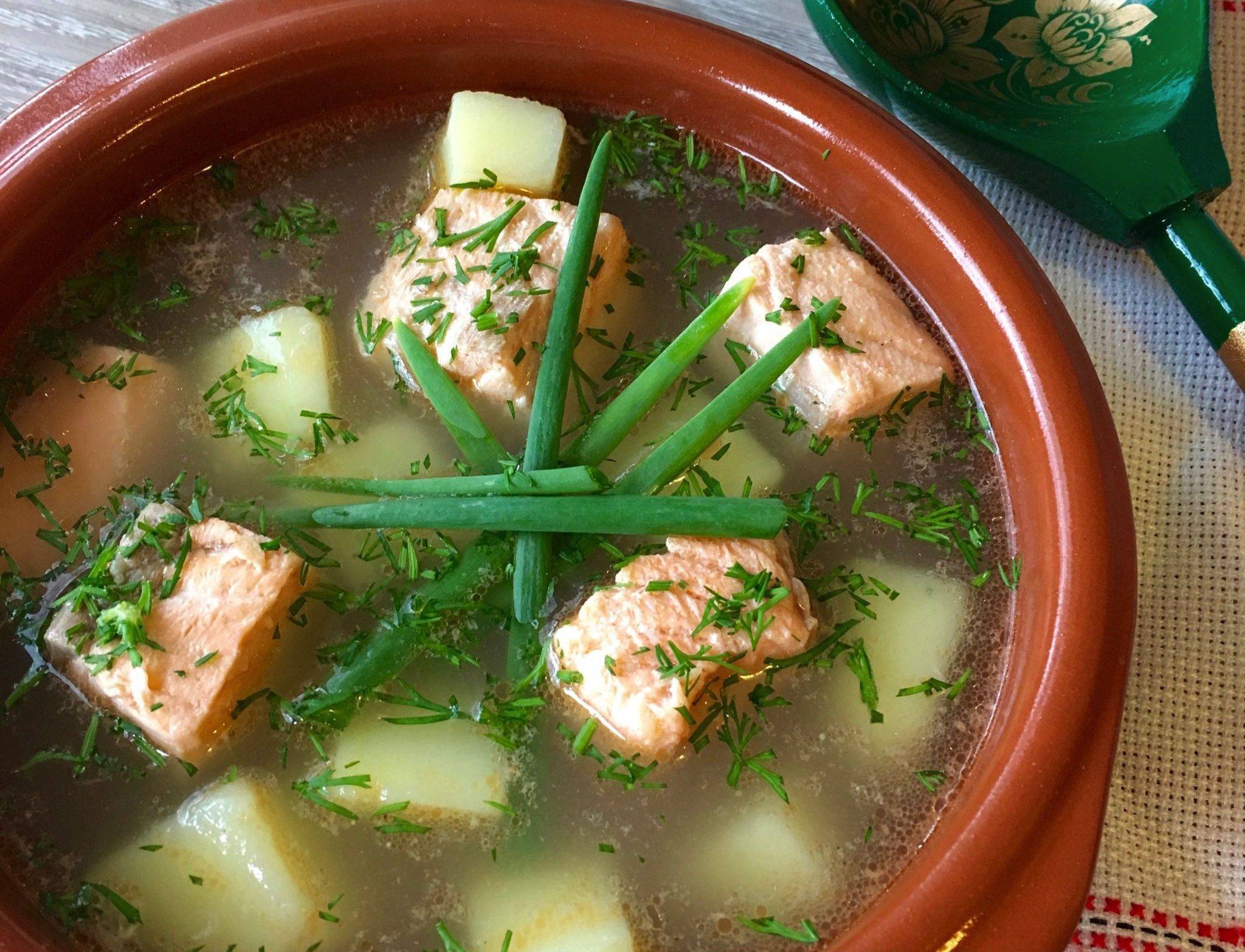 Уха из осетра — рецепты в домашних условиях, способы приготовления супа пошагово