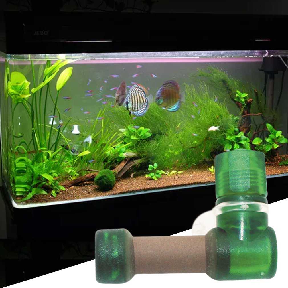 Нужна ли аэрация в аквариуме, способы подачи кислорода, влияние аэрации на аквариум
