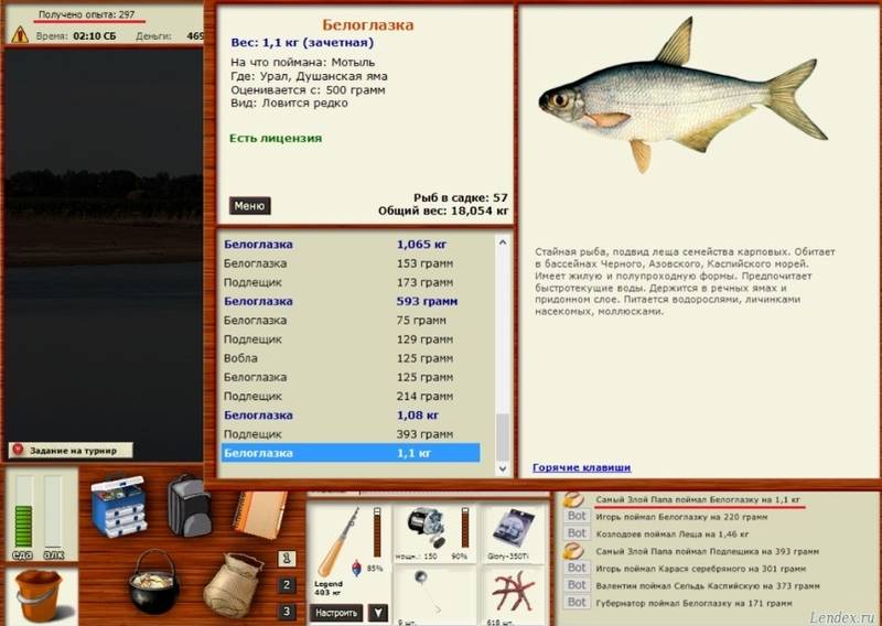 Описание рыбы сопы (белоглазки), поведение и способы ловли - читайте на сatcher.fish