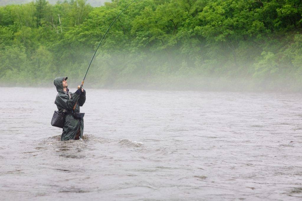 В какое время и в какую погоду лучше ловить рыбу